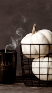 カゴと白いカボチャ1