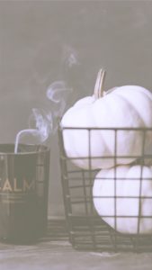 カゴと白いカボチャ2