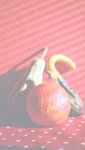 ドットとかぼちゃ2