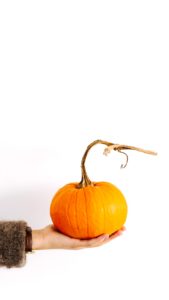 かぼちゃがひとつ2