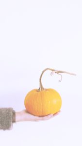 かぼちゃがひとつ1