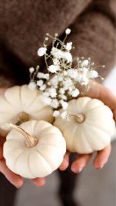 かすみ草と白いカボチャ1