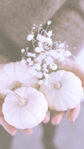 かすみ草と白いカボチャ2