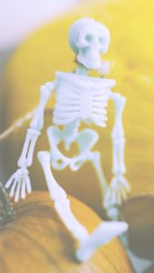 ガイコツとかぼちゃ1