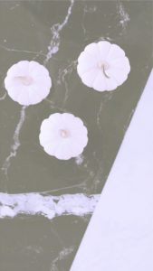 黒い床と白いカボチャ2