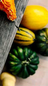 板の下のかぼちゃ1