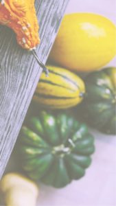 板の下のかぼちゃ2