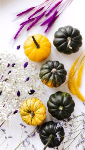 黄色のかぼちゃと緑のかぼちゃ1