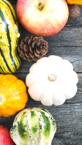 りんごとかぼちゃ1