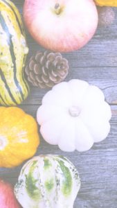 りんごとかぼちゃ2