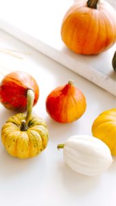 机の上のかぼちゃ1