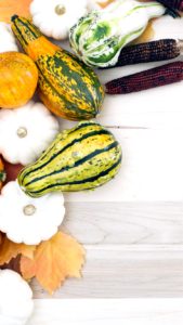 白い床とかぼちゃ1