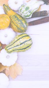 白い床とかぼちゃ2