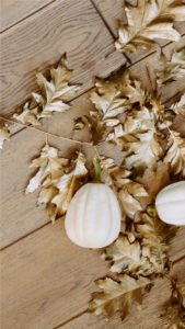 枯れ葉と白いカボチャ2