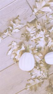 枯れ葉と白いカボチャ1