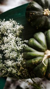 かすみ草とかぼちゃ4