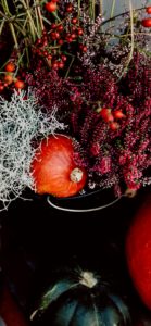 秋の花とかぼちゃ4