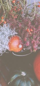 秋の花とかぼちゃ3