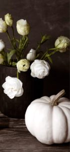 白いバラと白いカボチャ2