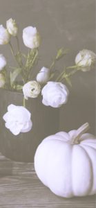 白いバラと白いカボチャ1