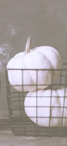 カゴに入れた白いカボチャ1