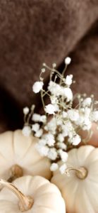 かすみ草と白いかぼちゃ1