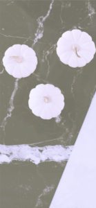 白いカボチャと黒い床1