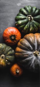 上から見たかぼちゃ2