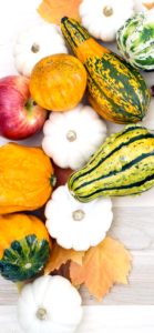 りんごとかぼちゃ2