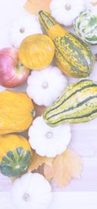 りんごとかぼちゃ1