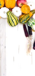 りんごとかぼちゃ3