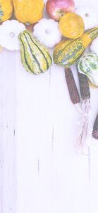 りんごとかぼちゃ4