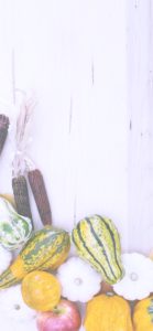 りんごとかぼちゃ5