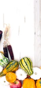 りんごとかぼちゃ6