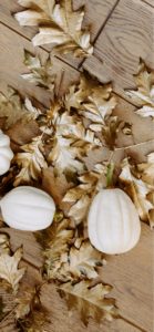 枯れ葉とかぼちゃ1