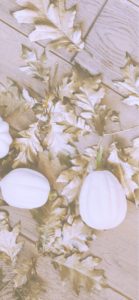 枯れ葉とかぼちゃ2