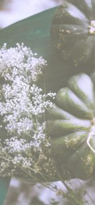 かすみ草とかぼちゃ2