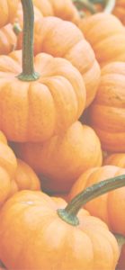 積まれたかぼちゃ2