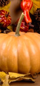 ミルクティー色のかぼちゃ1