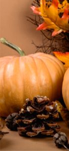 ミルクティー色のかぼちゃ3