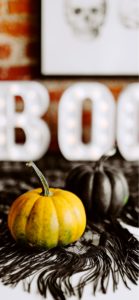 渋い色のかぼちゃ2