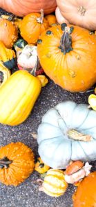 個性的なかぼちゃ1