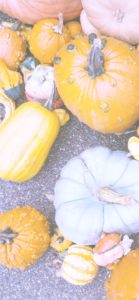 個性的なかぼちゃ2