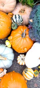 個性的なかぼちゃ3