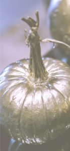 かぼちゃのオブジェ2