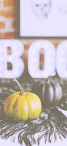 渋い色のかぼちゃ1