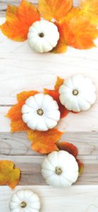 落葉と白いカボチャ1