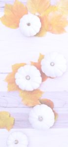 落葉と白いカボチャ2