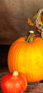 大きいカボチャと小さいカボチャ1