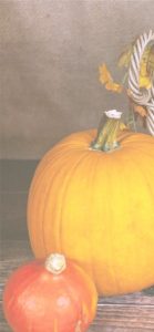 大きいカボチャと小さいカボチャ2